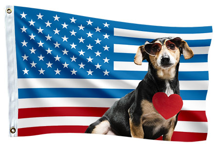 Personalized flag with pet photo and American flag background
