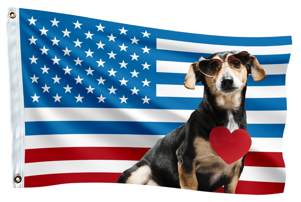 custom standard flag design template personalized photo flag 1024